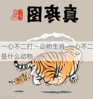 本期已解：溪虎打鼠蛇在笑,三心兩意不成氣。猜解一生肖|讲解词语解释释义