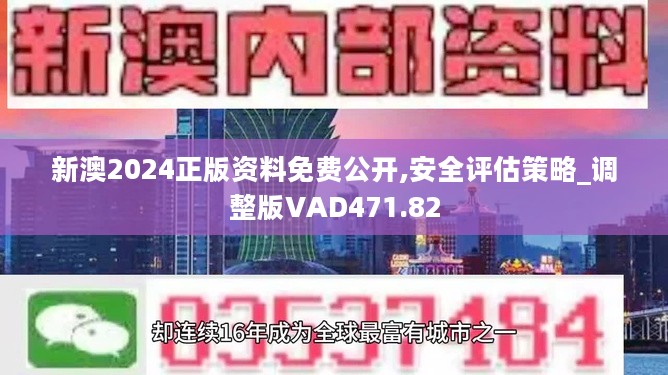 新澳2024年精准正版资料,|精选解释解析落实