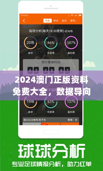 2024年澳门正版资料资料免费大全特色|精选解释解析落实