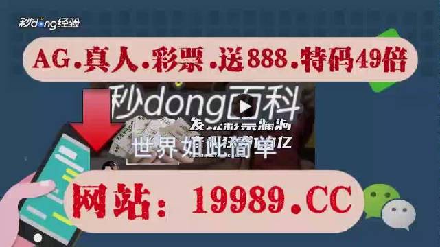 2024新澳门六开彩今晚资料|全面释义解释落实