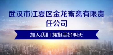 灯具人才网——照亮人才招聘之路的明灯