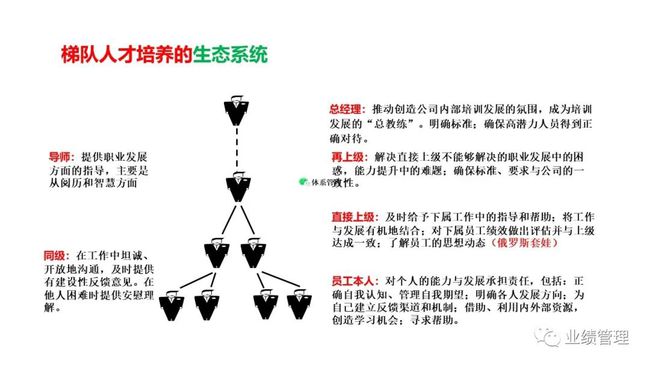 地方人才网站的日常运营，策略与实践