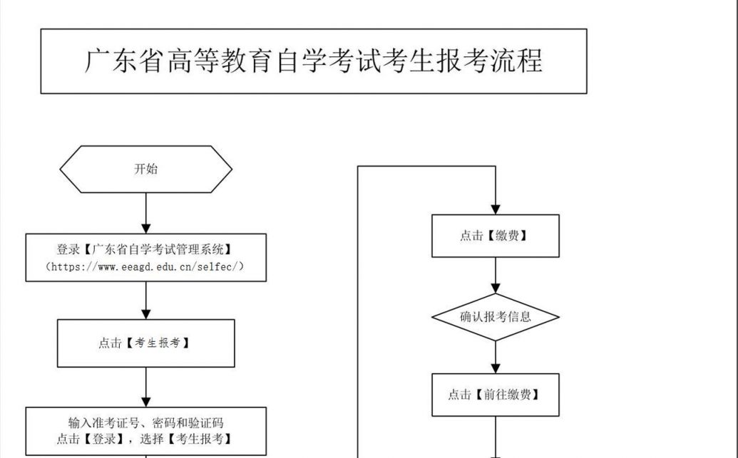 登录广东自学考试网，探索自我提升之路