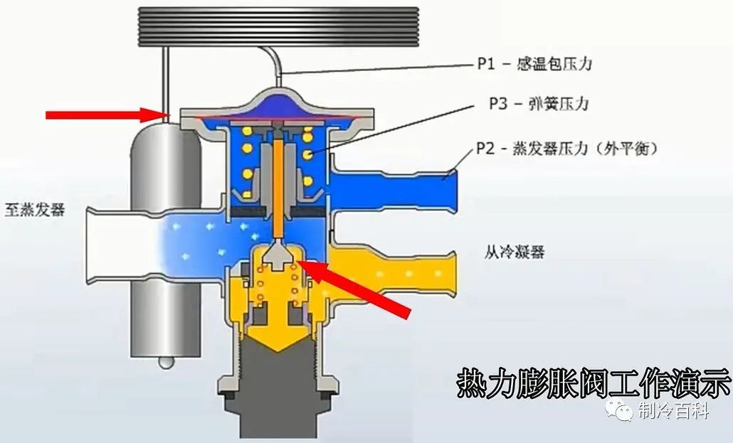 2025年1月1日 第13页