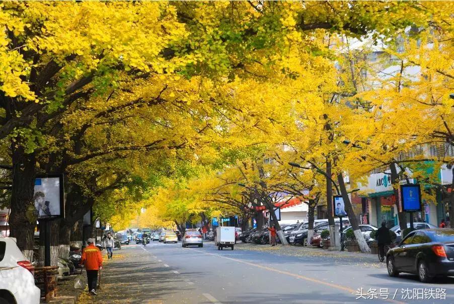 丹东百货批发市场的地理位置及其重要性