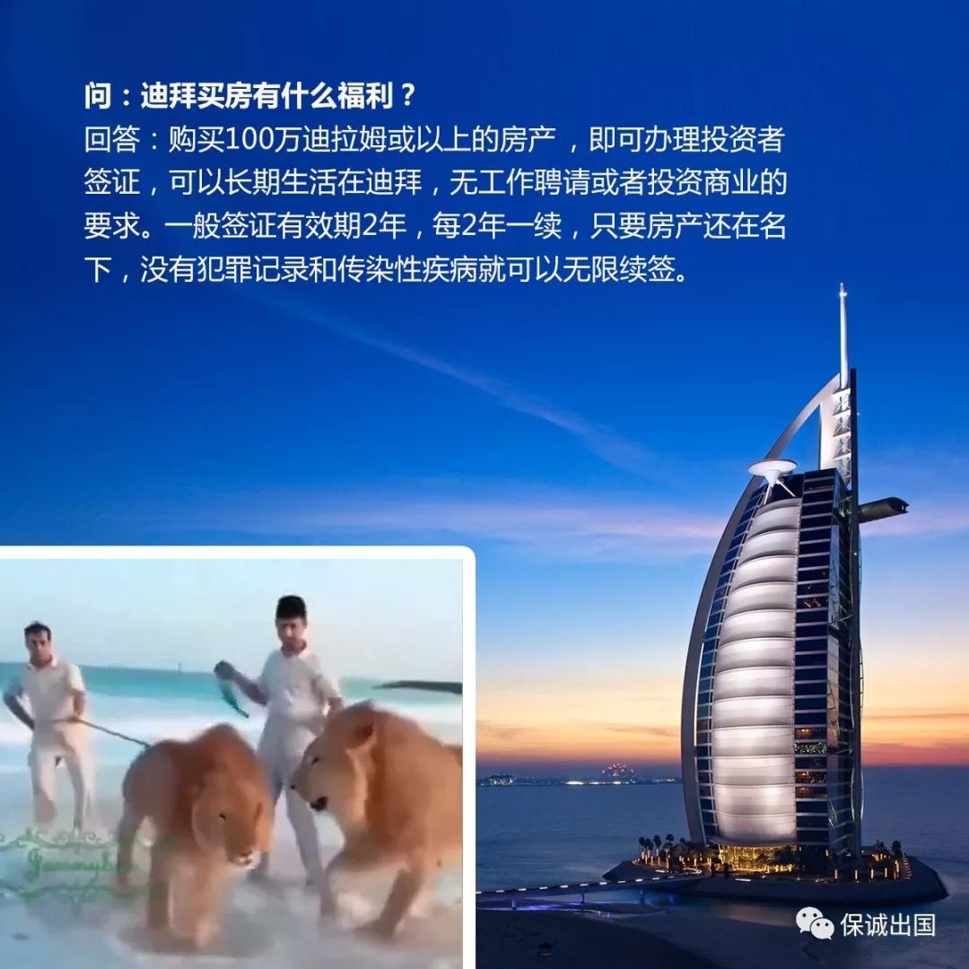 迪拜招聘网，连接人才与机遇的桥梁