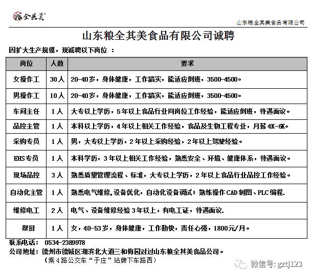 德州人才网最新招聘信息概览