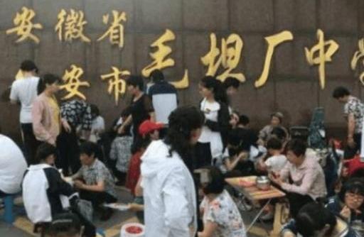 郸城县自学考试网，助力个人学习与成长的平台