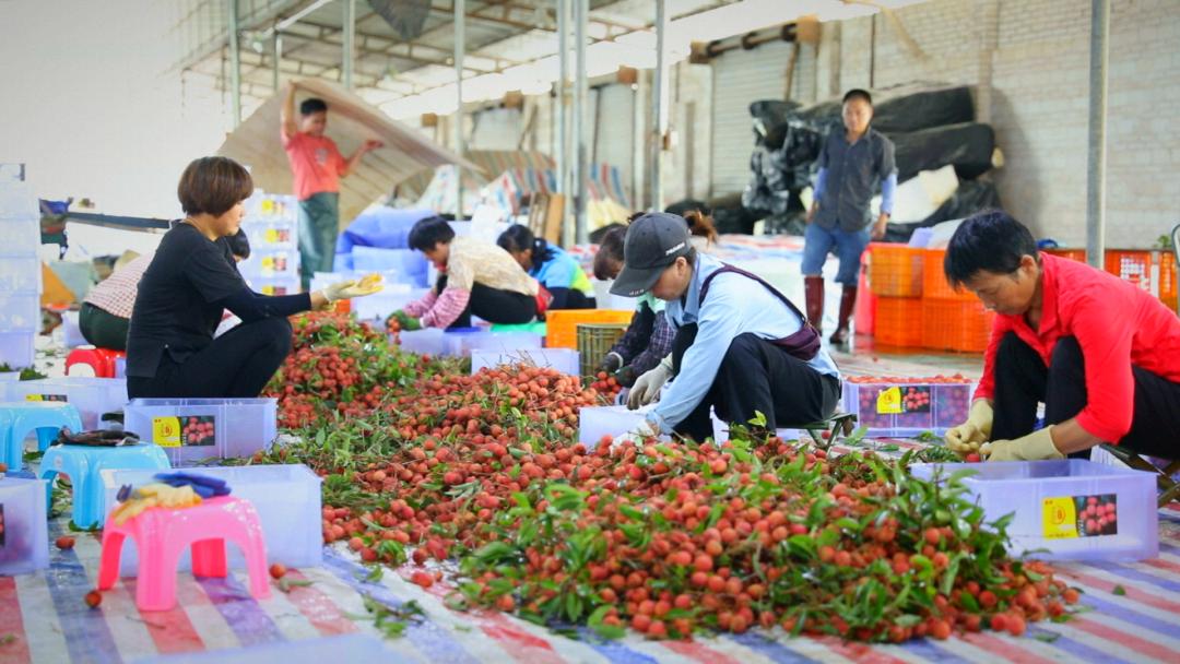 德庆人才网招聘信息网——连接企业与人才的桥梁