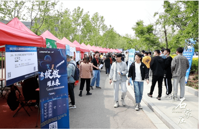 德州齐河人才市场招聘，探索人才市场的繁荣与发展