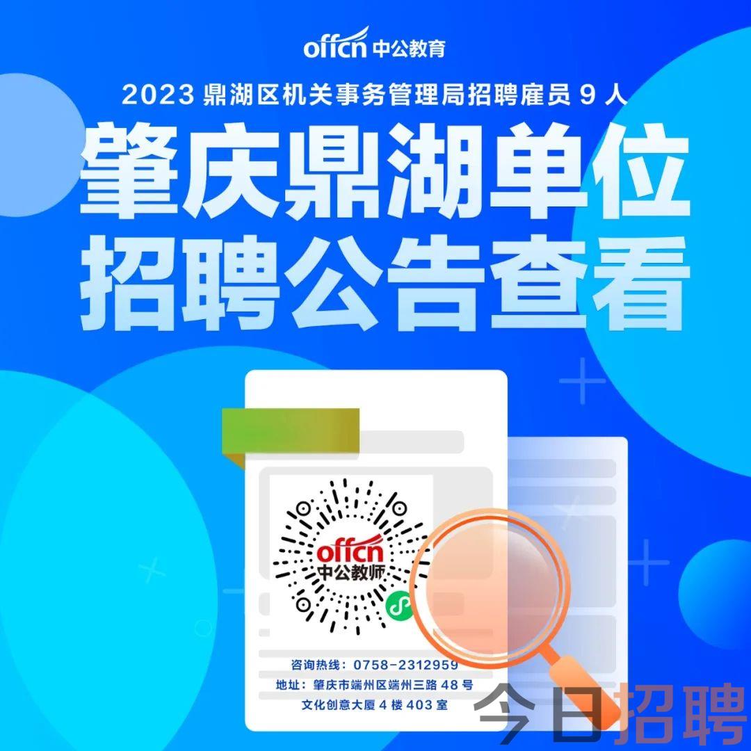 德庆招聘网最新招聘动态深度解析