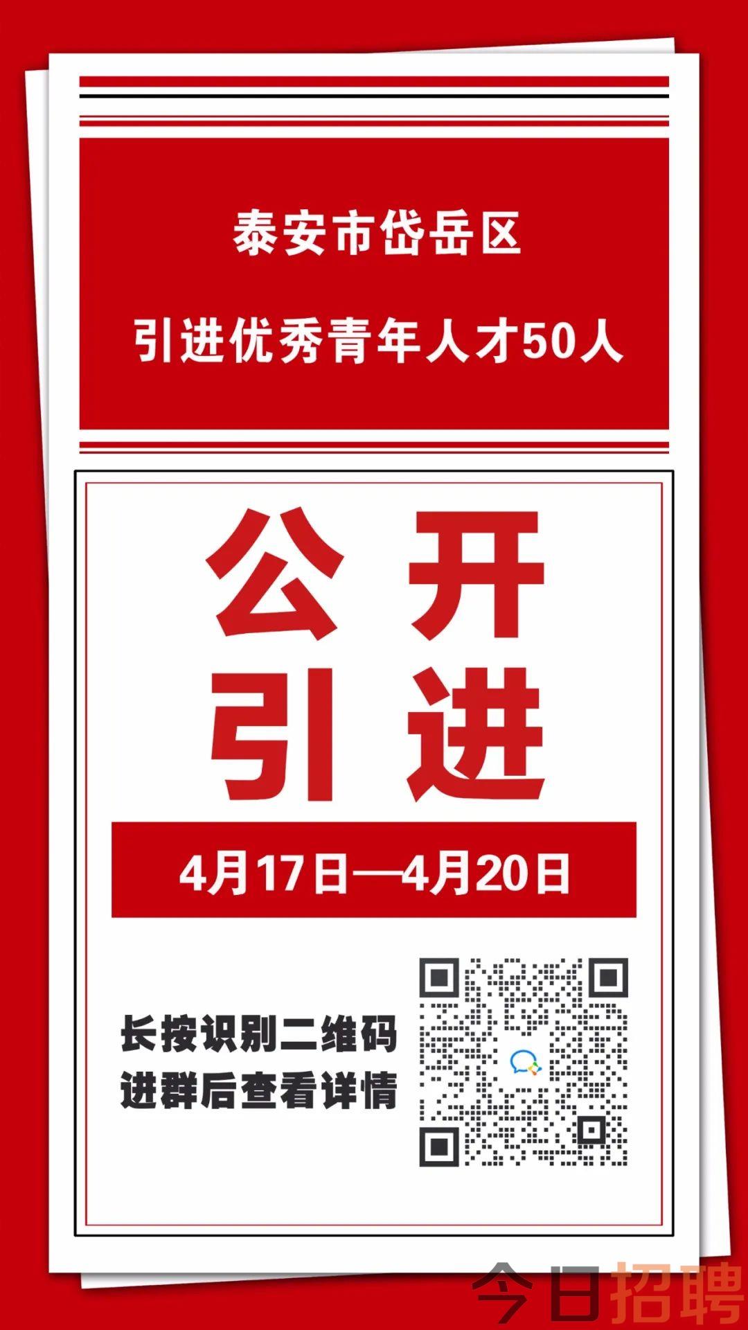 岱岳地区人才招聘信息概览