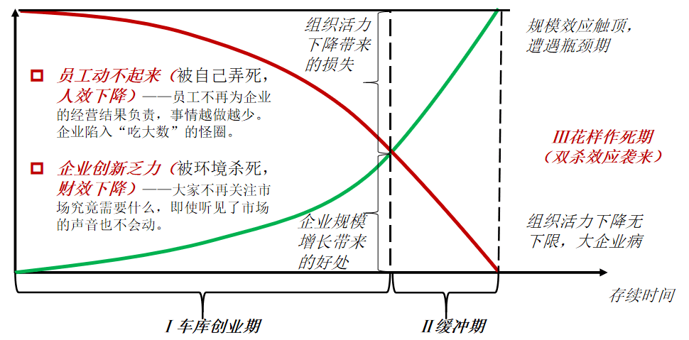 德清人才网，连接人才与机遇的桥梁