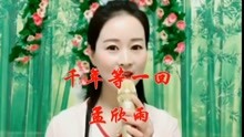 帝女花与五百首经典老歌，时光里的旋律与情感的绽放