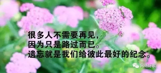 悼念经典老歌五百首，那些陪伴我们成长的旋律