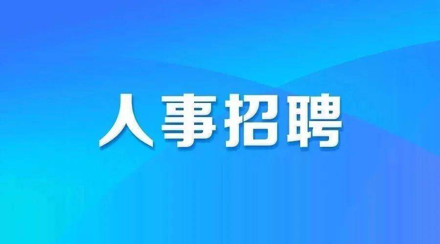 2025年2月15日 第13页